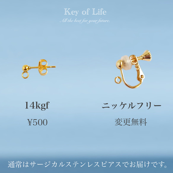 ▶大人可愛いカシスピンク×べっ甲 ピアス/イヤリング（金属アレルギー対応）サージカルステンレス 14kgf ギフト対応 10枚目の画像