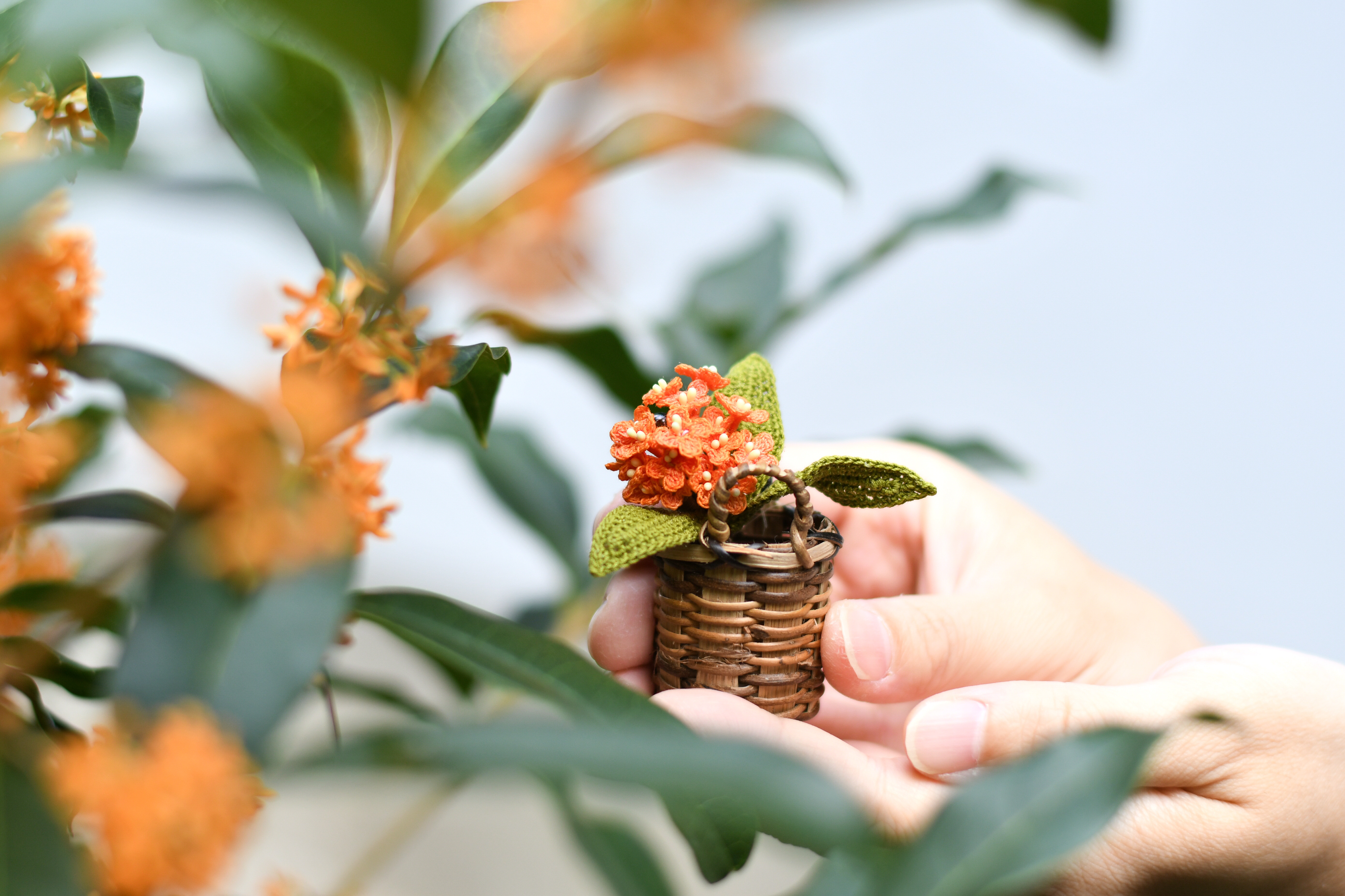 花柄・刺しゅう・金色雲・ピーチオレンジ訪問着、美品・７号 K91 花柄・刺しゅう・金色雲・ピーチオレンジ訪問着、美品・7号 K91