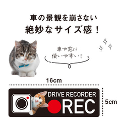 ドライブレコーダー 搭載 犬 猫 ステッカー 撮影中 危険運転撃退 シール おしゃれ いぬ 防水加工 雑貨 ドラレコ 4枚目の画像