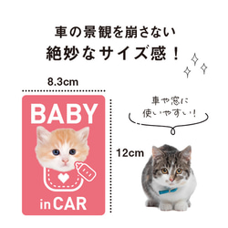 ステッカー 車 おしゃれ BABY in CAR 猫ステッカー（ホワイト） ドライブ 赤ちゃん ベイビィ シール 車 ね 4枚目の画像
