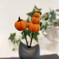 【ハロウィンかぼちゃ】のガーデンピック 1枚目の画像