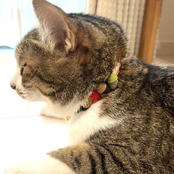 どんぐり　猫さんにやさしい首輪【かぎ針編み　猫の首輪　猫　首輪　セーフティバックル　アジャスター　軽い　やわらかい】 2枚目の画像