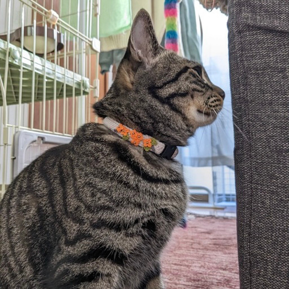 キンモクセイ　猫さんにやさしい首輪【かぎ針編み　猫の首輪　猫　首輪　セーフティバックル　アジャスター　軽い　やわらかい】 6枚目の画像