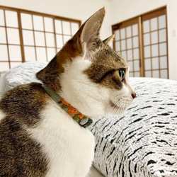 キンモクセイ　猫さんにやさしい首輪【かぎ針編み　猫の首輪　猫　首輪　セーフティバックル　アジャスター　軽い　やわらかい】 4枚目の画像