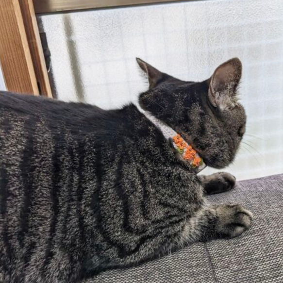 キンモクセイ　猫さんにやさしい首輪【かぎ針編み　猫の首輪　猫　首輪　セーフティバックル　アジャスター　軽い　やわらかい】 7枚目の画像