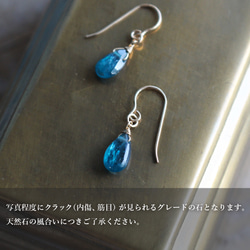 靛藍色藍晶石&lt;梨形&gt;耳環 第3張的照片