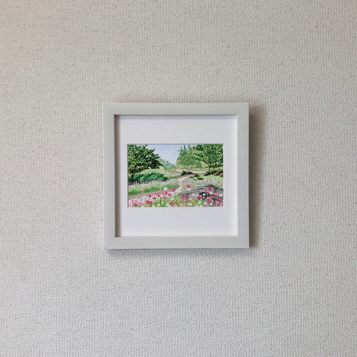 コスモスの小径」透明水彩画 原画 風景画 額縁付 ハガキサイズ