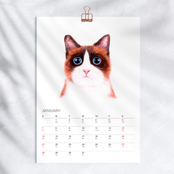 2024 猫 カレンダー　【壁掛け　A3 A4 サイズ  水彩画】 5枚目の画像