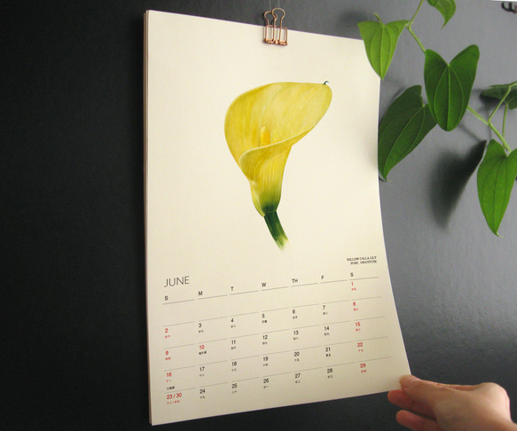 2024 花言葉 カレンダー　【壁掛け　A3 A4 サイズ  水彩画】 2枚目の画像
