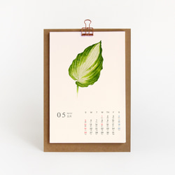2024卓上植物の葉カレンダー　【 A5  サイズ  水彩画】 4枚目の画像