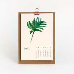 2024卓上植物の葉カレンダー　【 A5  サイズ  水彩画】 3枚目の画像