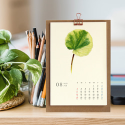 2024卓上植物の葉カレンダー　【 A5  サイズ  水彩画】 6枚目の画像