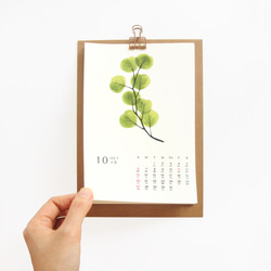 2024年曆桌曆  台灣香港假期 綠色清新治癒的植物 新年禮物2 第4張的照片