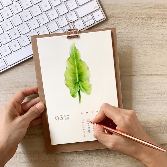 2024卓上植物の葉カレンダー　【 A5  サイズ  水彩画】 1枚目の画像