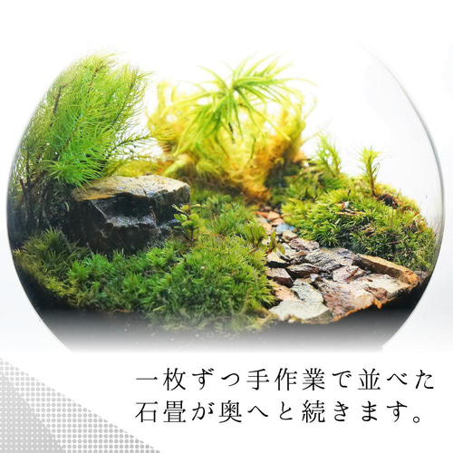 完成品】苔テラリウムNO.14