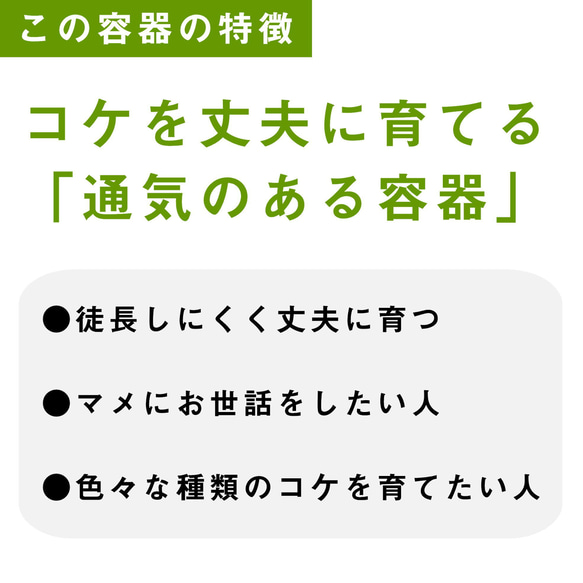 苔景 －樹海 Jyukai－ 【苔テラリウム・コケリウム】 