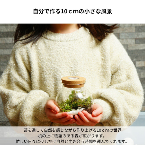 スターターキット】苔テラリウム かわいいSサイズ 川砂 10cm LED