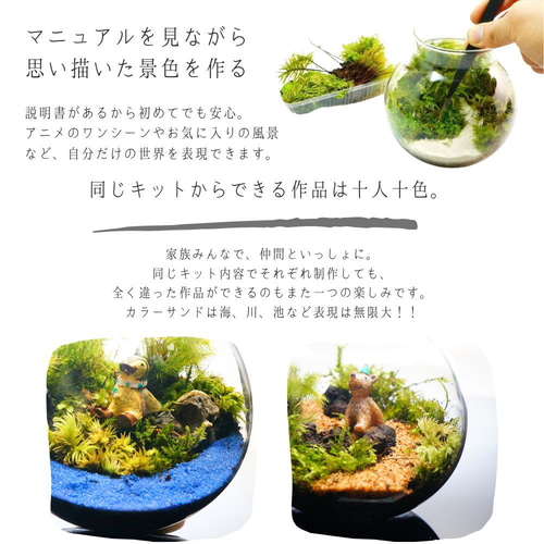 スターターキット】苔テラリウム かわいいSサイズ 川砂 10cm LED
