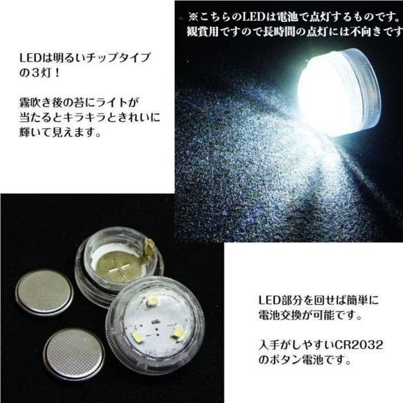 【完成品】LEDライト付 ミニサイズ 10cm 苔テラリウム 階段の先の我が家 ボトルテラリウム 9枚目の画像