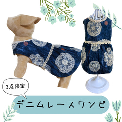 犬服　デニムレースワンピース 1枚目の画像