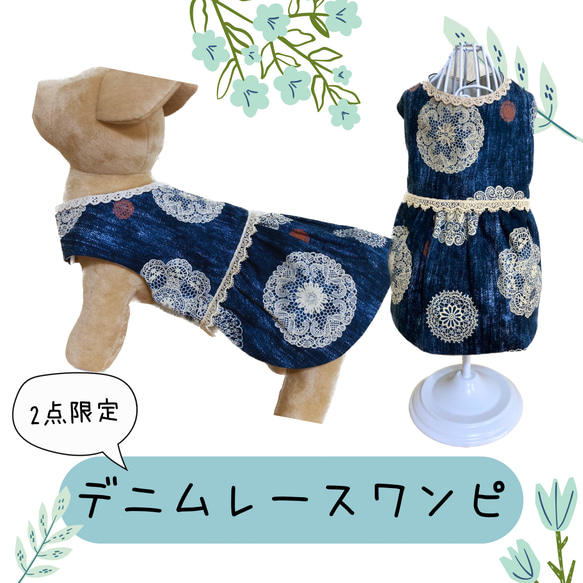 犬服　デニムレースワンピース 1枚目の画像