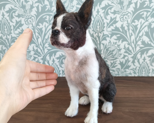 690bfc4b80768764e35e85073c3b20