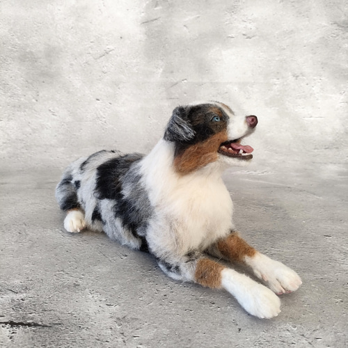 羊毛フェルト オーストラリアンシェパードさん 羊毛フェルト 羊毛