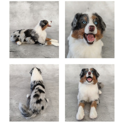 羊毛フェルト オーストラリアンシェパードさん 羊毛フェルト