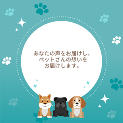 アニマルソールコミュニケーション 動物と対話 ペットコミュニケーション 保護犬保護猫 アニマルコミュニケーション 特別 4枚目の画像