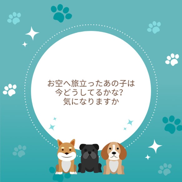 アニマルソールコミュニケーション 動物と対話 ペットコミュニケーション 保護犬保護猫 アニマルコミュニケーション 特別 3枚目の画像