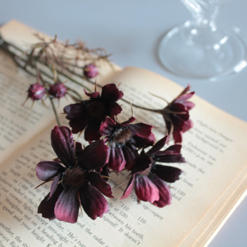 チョコレートコスモス】set小さなガラスのフラワーベースへの投げ入れ