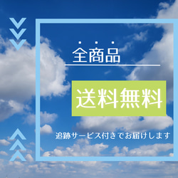 フェーズフリーアワード2023入選!!【大容量防水バッグ アウトドア 防災 スパ 万能巾着】izatoki 防水 緑×黒 19枚目の画像