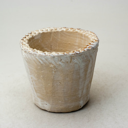 陶器製（2.5号ポット相当）多肉植物の欲しがる植木鉢 NSS-7594 1枚目の画像