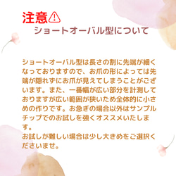 お好みの3点合計5000円キャンペーン♪送料無料！（ネイルチップ/まとめ買い/秋冬ネイル） 3枚目の画像