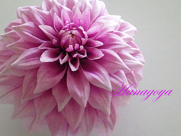 ダリア（ブルーピーチ）の髪飾り