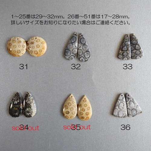 14kgf*化石珊瑚*フォッシルコーラルの大ぶりピアス／イヤリング