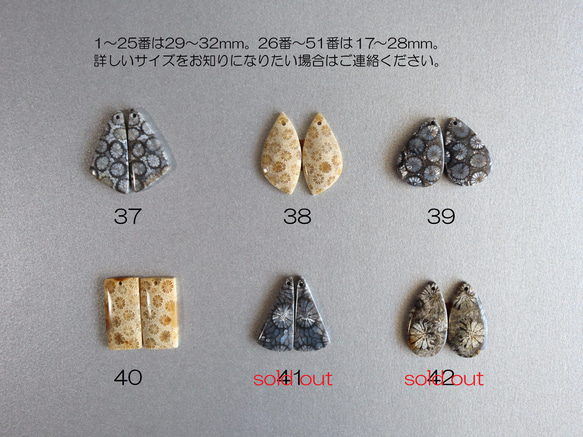 【半額SALE】超希少 フォシルコーラル（グレー）AAA 化石珊瑚 14kgf ピアス（イヤリング変更可） 10枚目の画像
