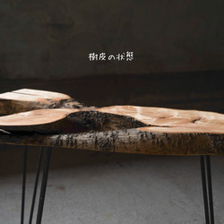 金木犀の一枚板 コーヒーテーブル （高さ・カラー変更無料） 7枚目の画像
