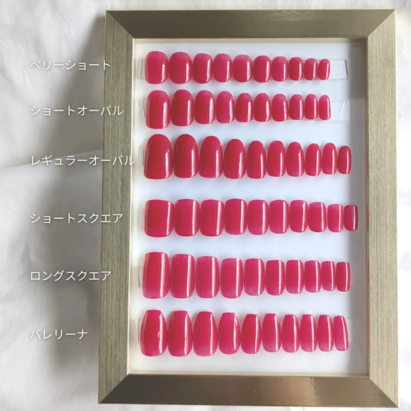  第11張的照片