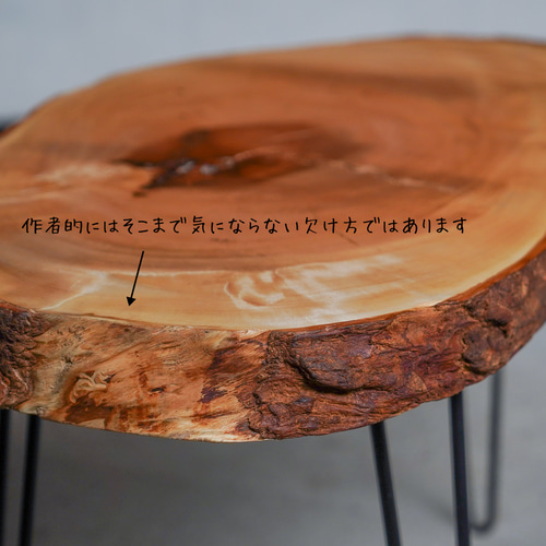 徳田製作所の輪切りの一枚板　コーヒーテーブル 欅の輪切り 一枚板 ローテーブル コーヒーテーブル | 徳田製作所