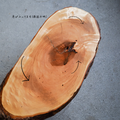 栃の輪切り 一枚板 コーヒーテーブル （高さ・カラー変更無料） サイド