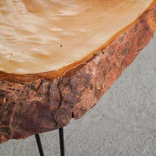 栃の輪切り 一枚板 コーヒーテーブル （高さ・カラー変更無料） サイド