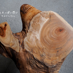 楠の輪切り 一枚板 コーヒーテーブル （高さ・カラー変更無料） 15枚目の画像