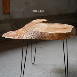 楠の輪切り 一枚板 コーヒーテーブル （高さ・カラー変更無料） 8枚目の画像