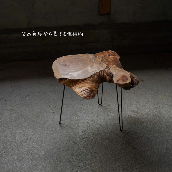 楠の輪切り 一枚板 コーヒーテーブル （高さ・カラー変更無料） 3枚目の画像