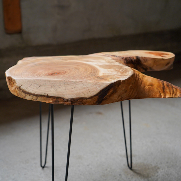 楠の輪切り 一枚板 コーヒーテーブル （高さ・カラー変更無料） 11枚目の画像