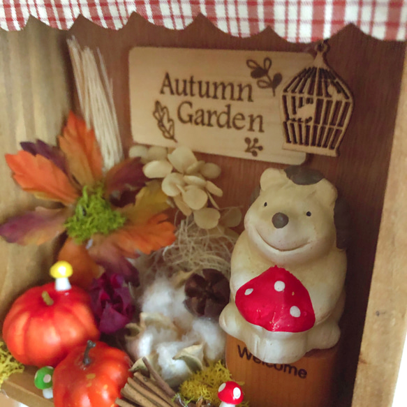 ハリネズミさんの秋色ガーデンBOX 3枚目の画像