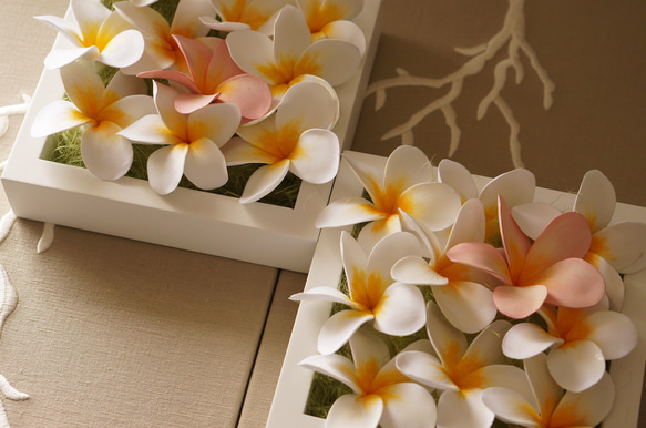 プルメリアたっぷりのフレームアレンジ　クレイフラワー 2枚目の画像