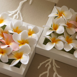 プルメリアたっぷりのフレームアレンジ　クレイフラワー 4枚目の画像