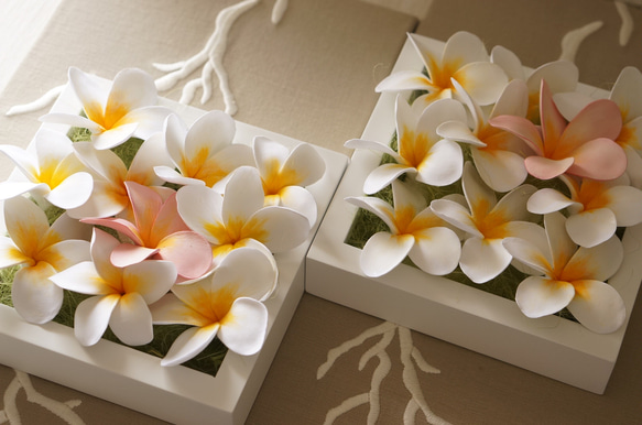 プルメリアたっぷりのフレームアレンジ　クレイフラワー 4枚目の画像